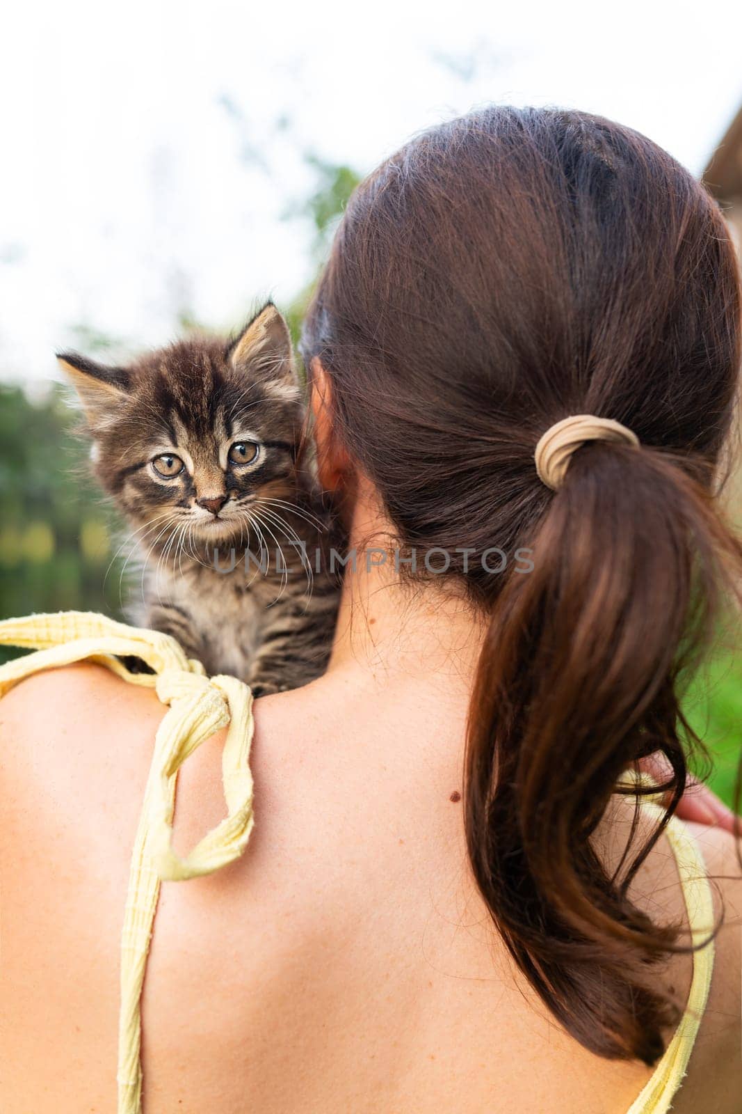 A girl holds a small fluffy kitten on her shoulder. View from the back, the surprised look of a kitten looking at the camera