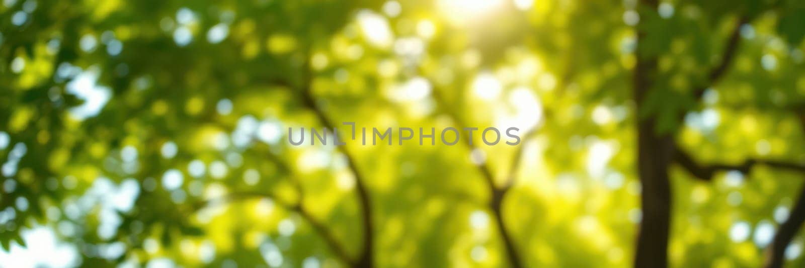 Sun rays gently penetrate a vibrant green canopy, creating a peaceful atmosphere in the forest as leaves dance softly in the breeze during the late afternoon.