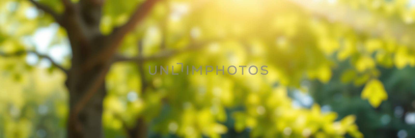 Sunlight dances through the vibrant green leaves of trees, creating a calming atmosphere in a peaceful outdoor area during early summer. Nature's beauty captivates the senses.