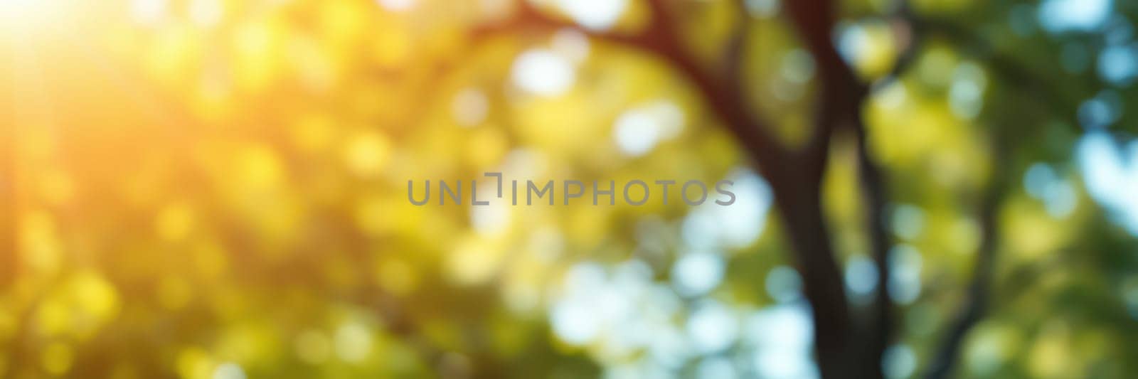 Sunlight streams through the foliage of a vibrant forest, casting warm rays onto the ground. The scene captures the essence of a peaceful afternoon filled with natural beauty.