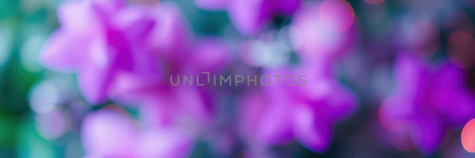 A lush garden filled with vibrant purple flowers gently swaying in the breeze under the warm spring sun, creating a colorful and serene atmosphere.