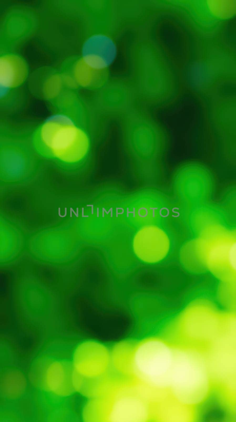 Sunlight filters through vibrant green leaves, creating a serene environment in a lush garden. The vivid hues form a calming and inviting atmosphere, perfect for relaxation.