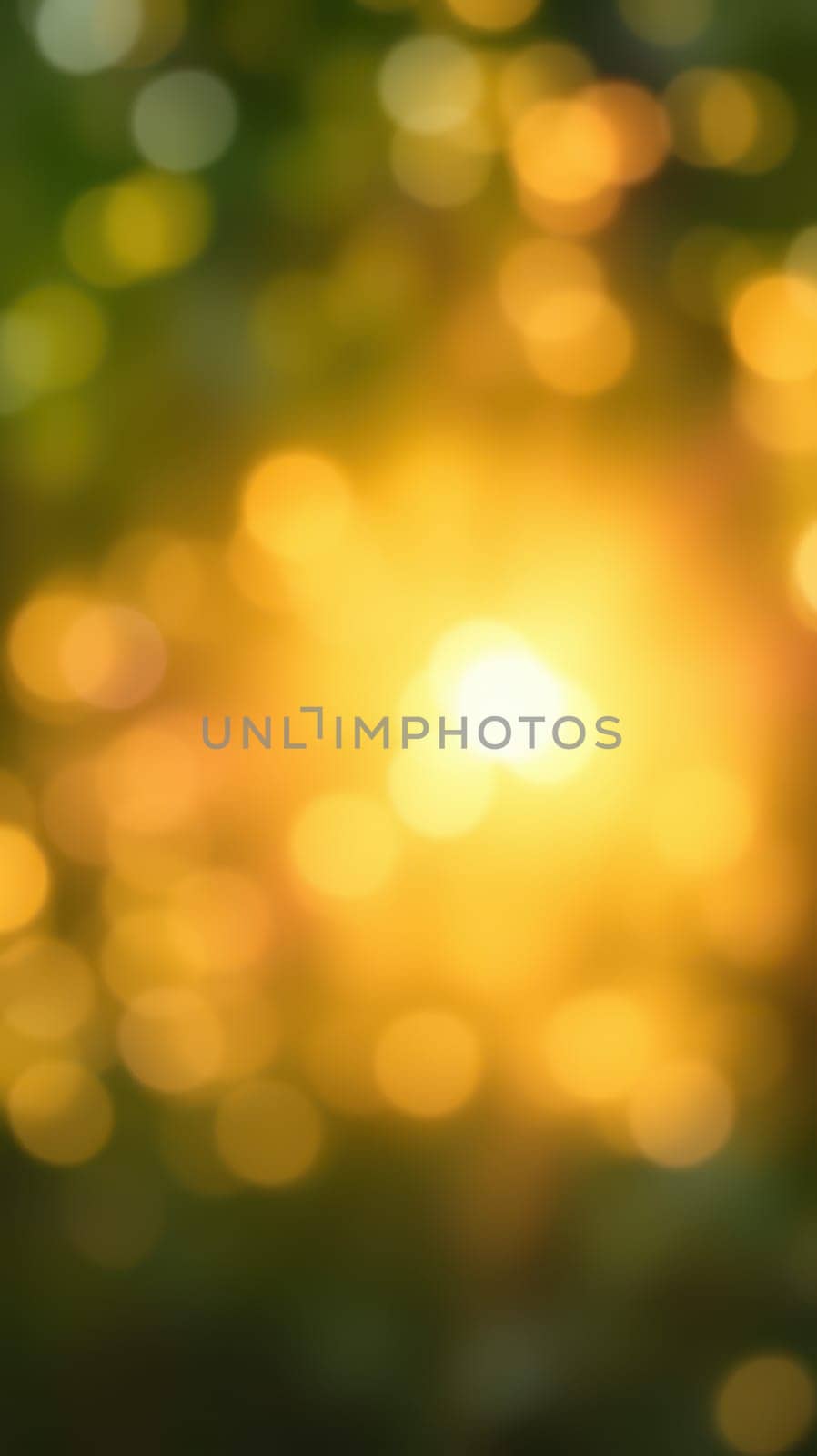 Sunlight streams through the dense foliage of trees, creating a captivating golden haze that fills the forest with warmth and a magical atmosphere in the late afternoon.