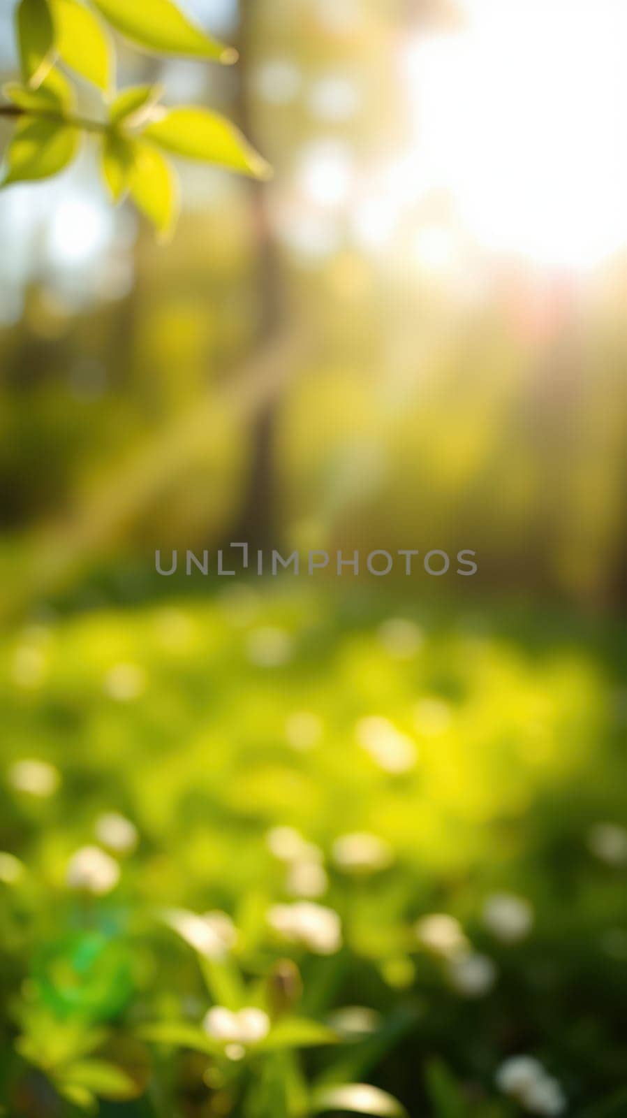 Soft, warm light streams through lush green leaves in a tranquil forest, creating a peaceful ambiance. Delicate flowers dot the vibrant ground below.