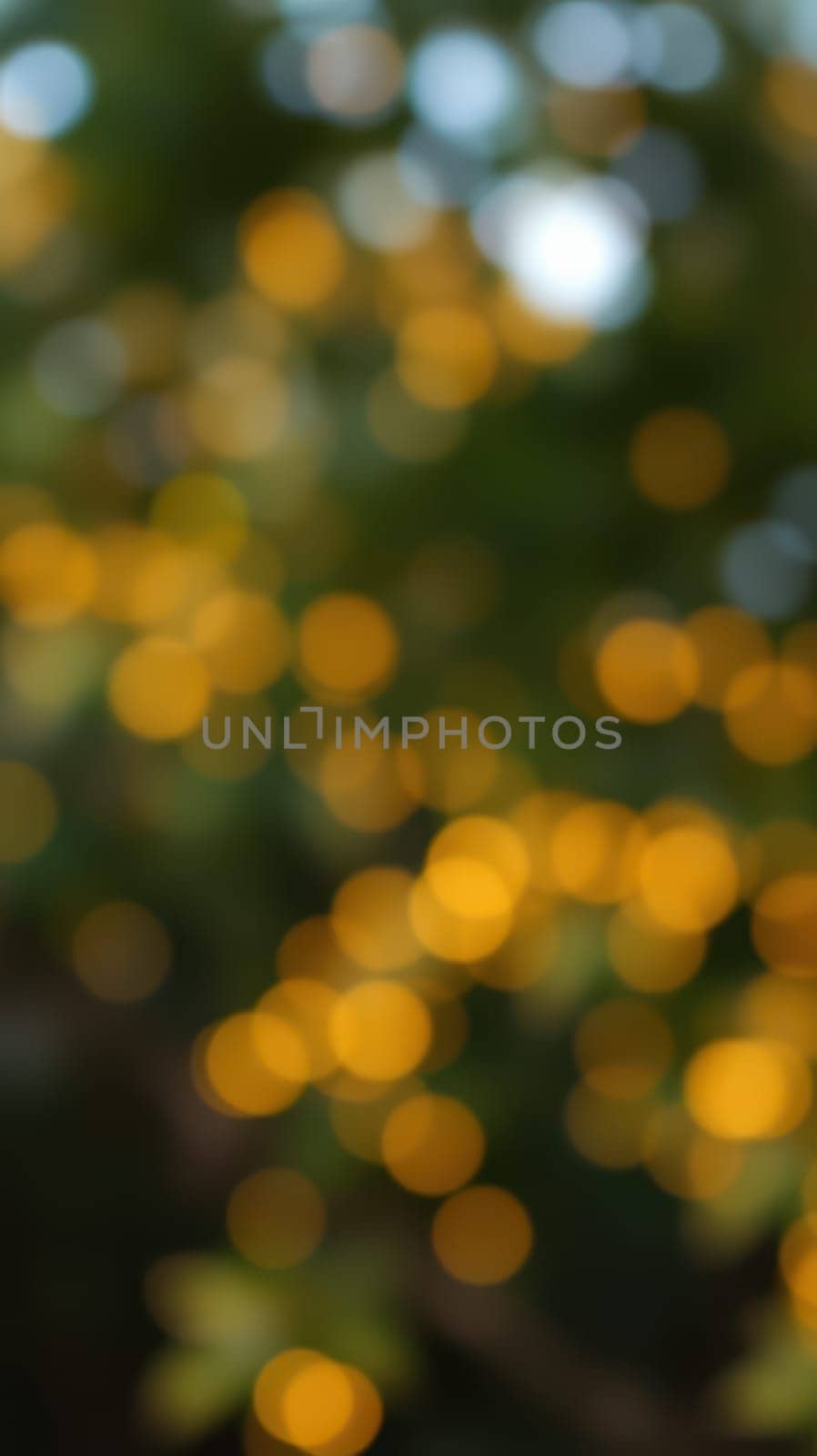 Warm, soft bokeh lights illuminate the surroundings, creating an inviting and serene outdoor ambiance as dusk settles, enhancing the evening experience.