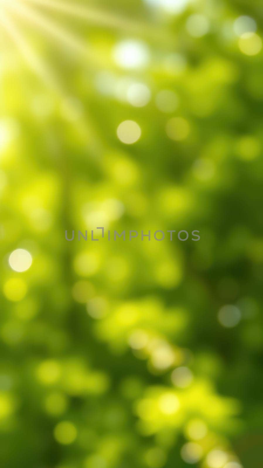 Sunlight filters softly through vibrant green leaves, creating a peaceful ambiance. The dappled light adds a calming touch to this lush natural environment.