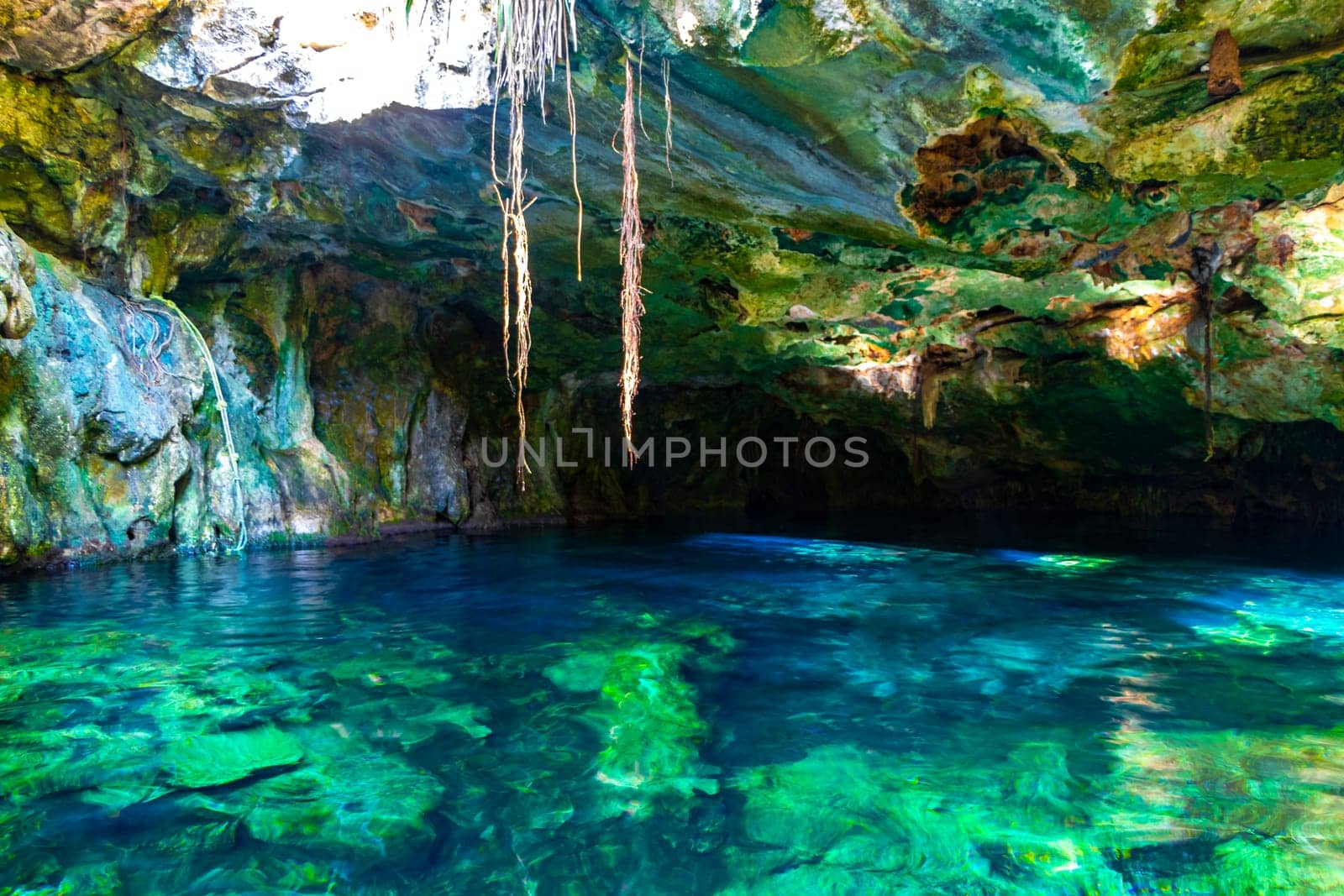 Beautiful Cenote Park Minotauro with limestone rocks turquoise blue green water and nature jungle around it in Xpu Ha Quintana Roo Mexico.