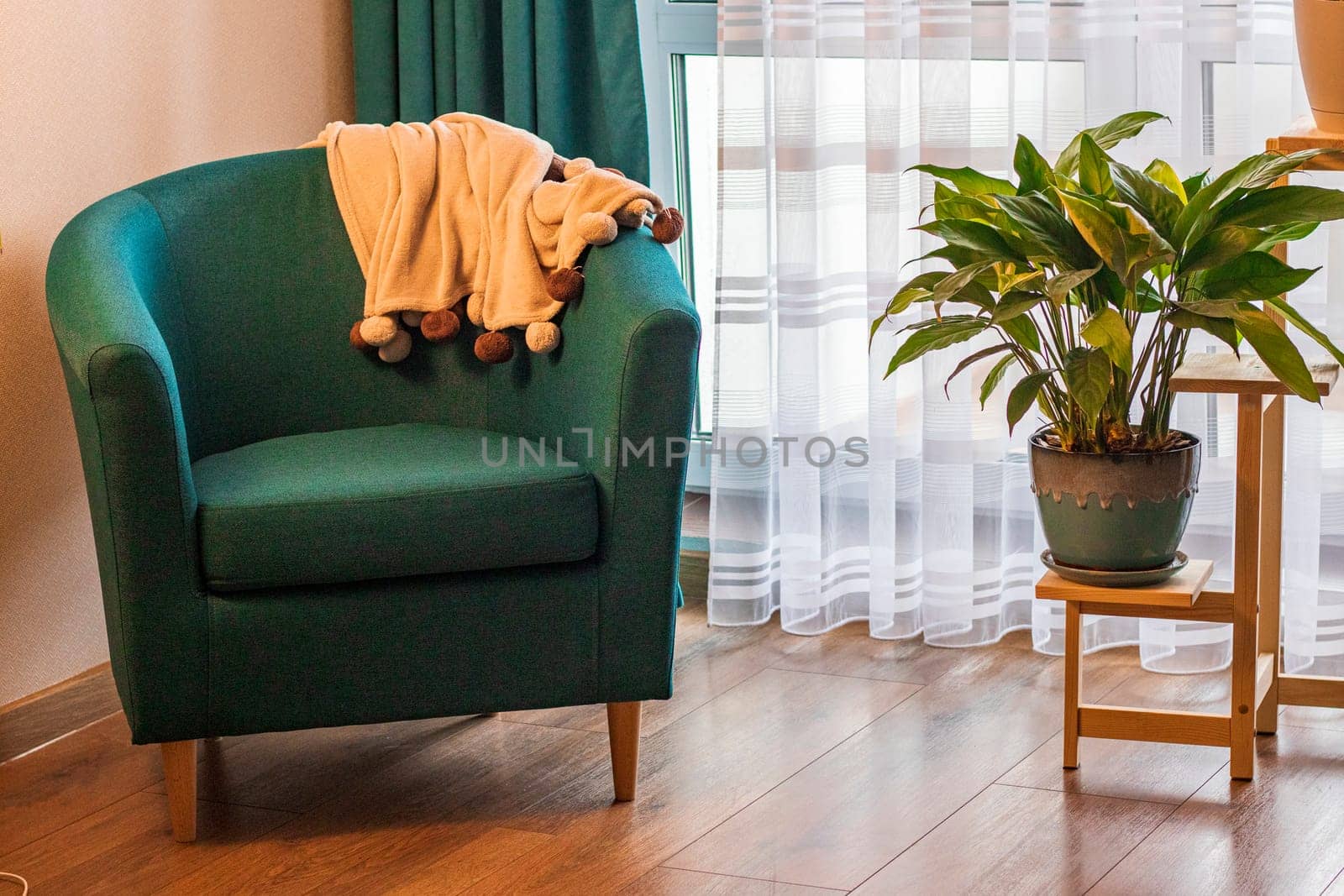 Close up of the cozy corner in the apartment with comfortable arm chair