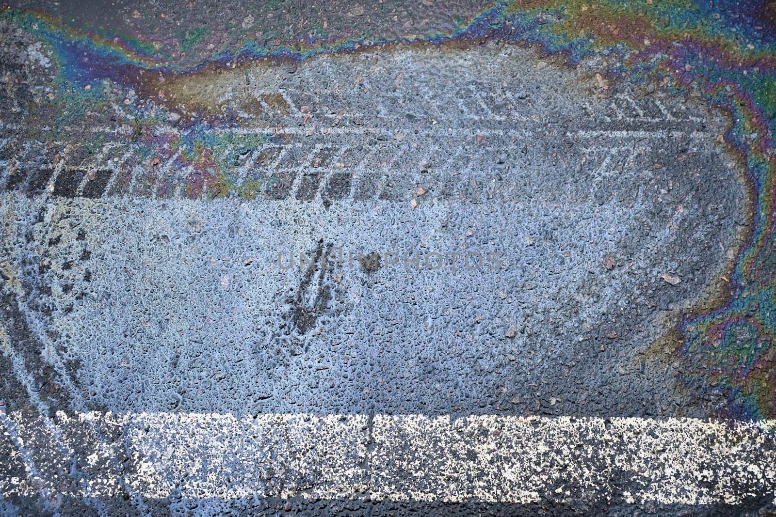 Tire marks and gasoline rainbow on asphalt road surface.