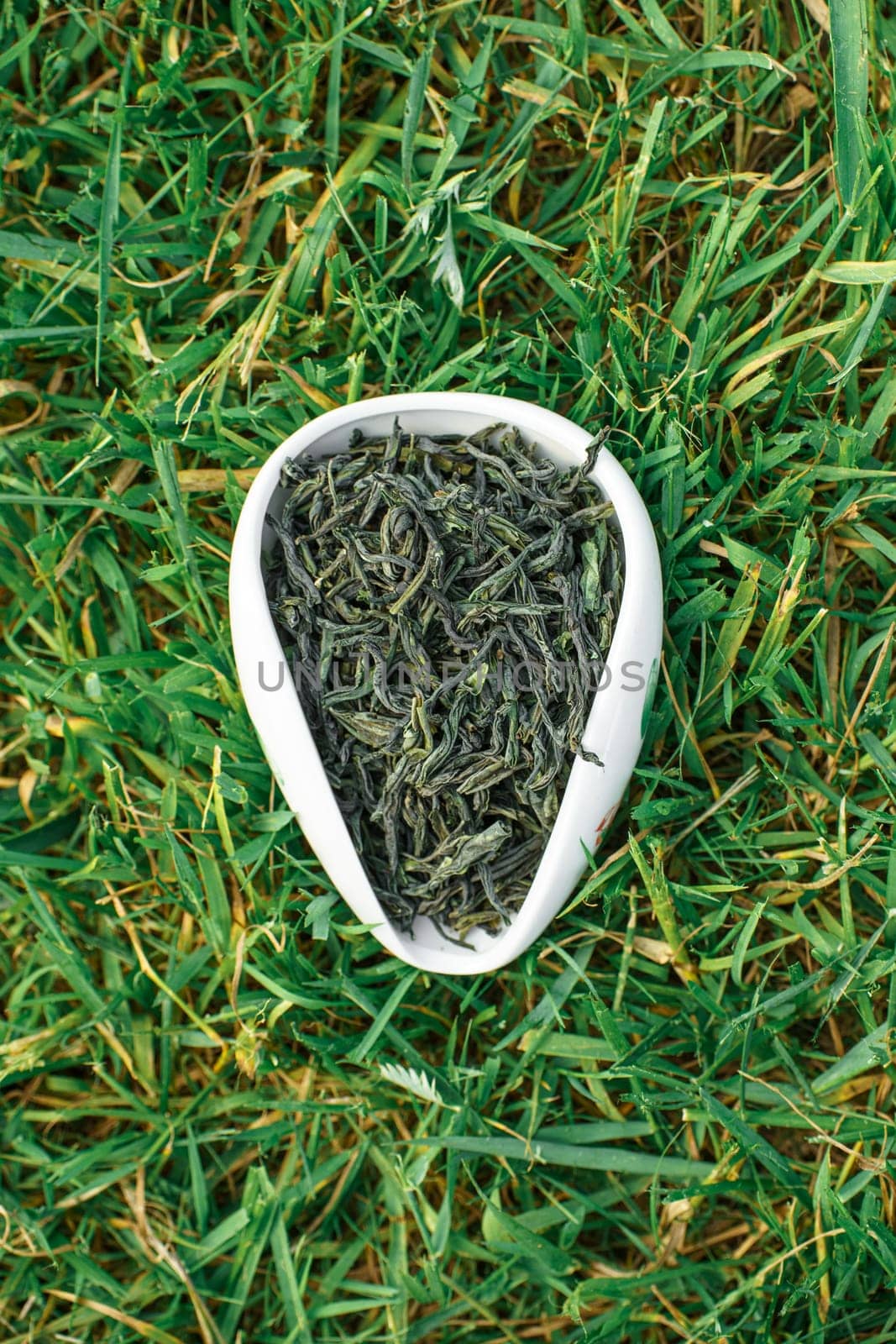 Beautifully presented dry green tea leaves are arranged in a dish placed on a bed of fresh green grass