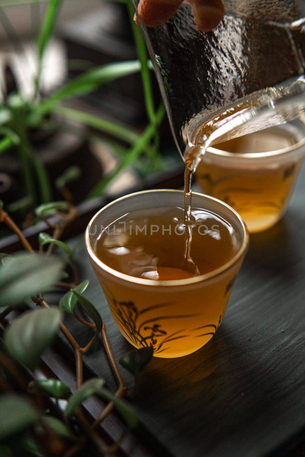 A tranquil moment of tea pouring, highlighting delicate cups, beautiful vibrant greenery, and calm surroundings
