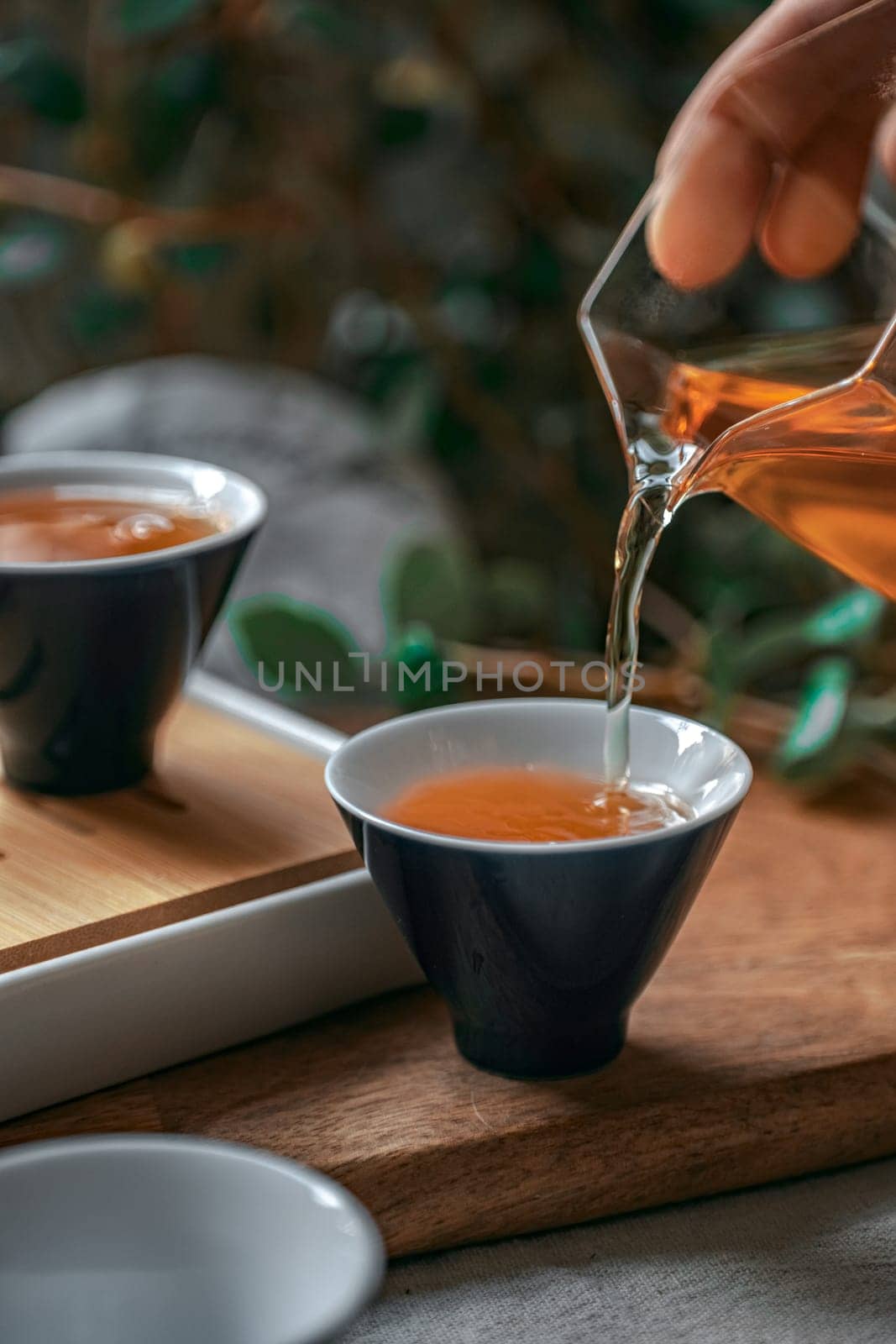 A tranquil scene depicting tea being carefully poured into elegant cups, all surrounded by lush greenery