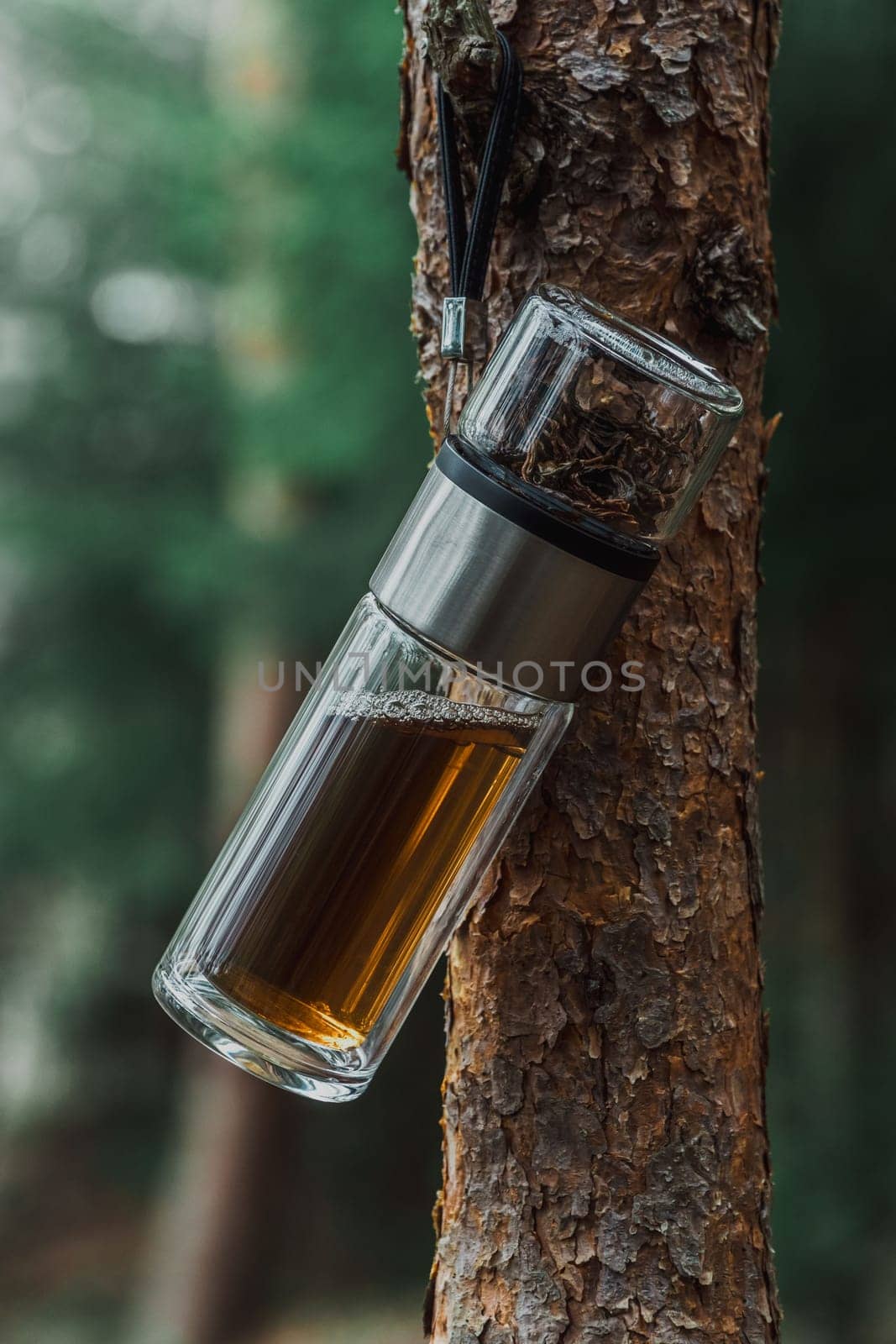 A glass bottle hangs from a branch, combining functionality with the stunning beauty of natures surroundings