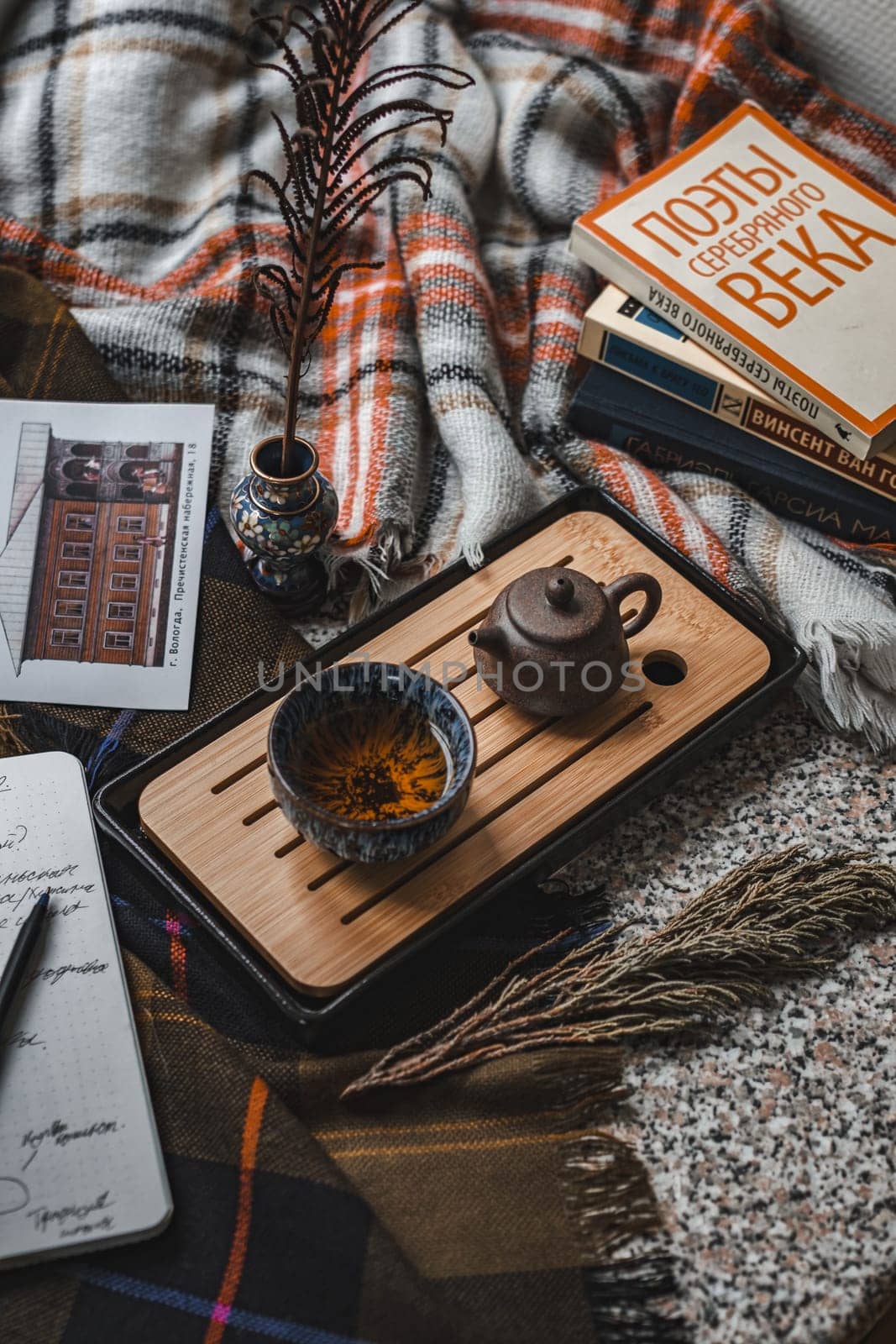 A warm and inviting tea scene that beautifully features a wooden tray, interesting books, and a cozy plaid blanket