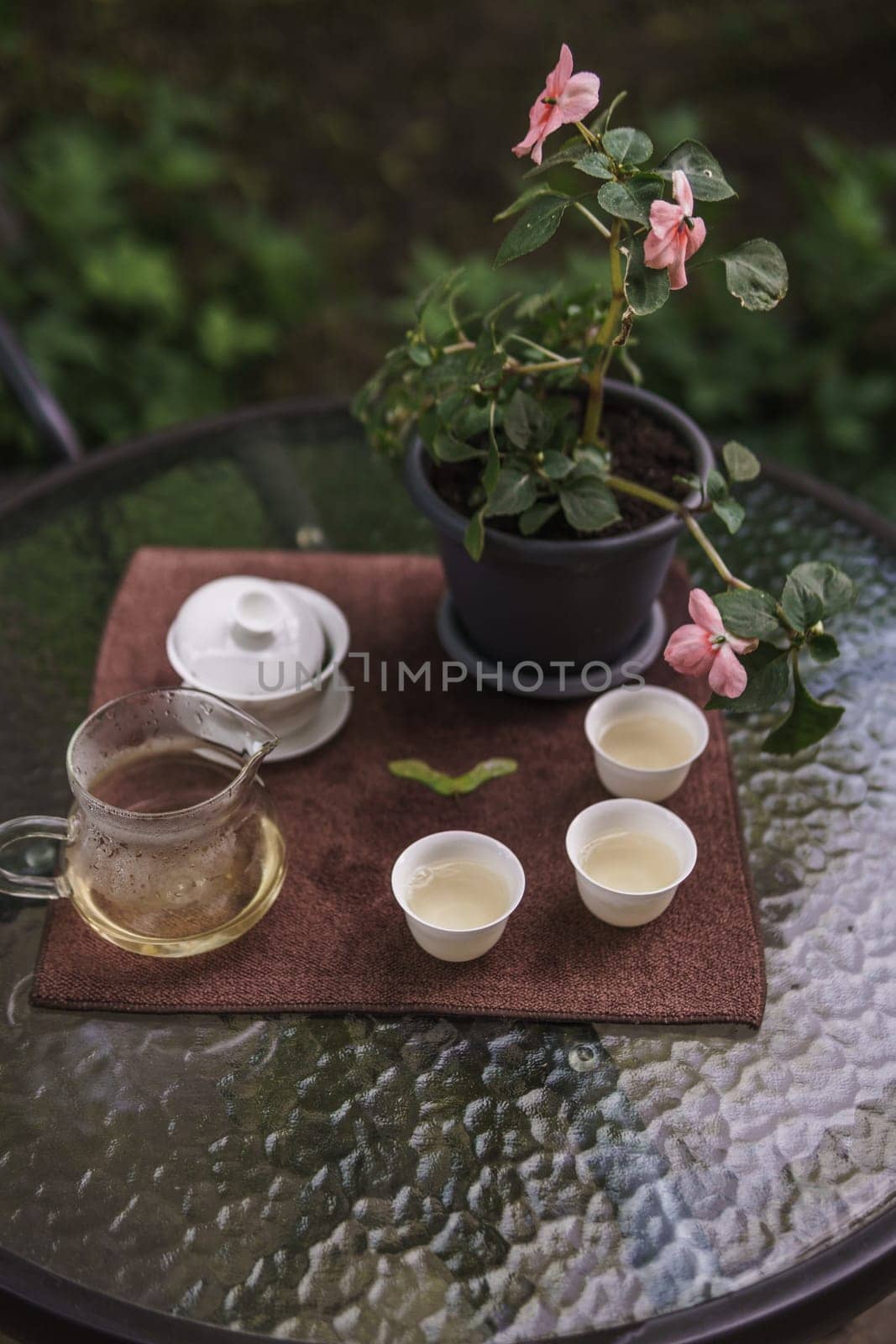 Take a moment to relish a peaceful tea experience with beautiful, delicate cups alongside a vibrant blooming plant