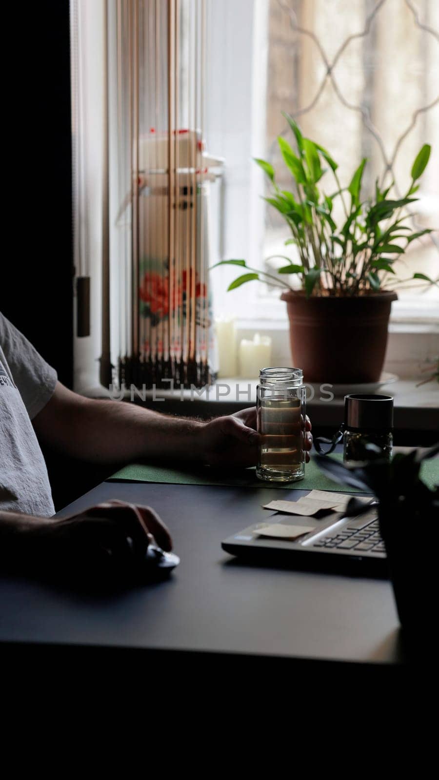 A serene and calm home office scene features a decorative plant, an elegant glass, and soft, soothing natural lighting