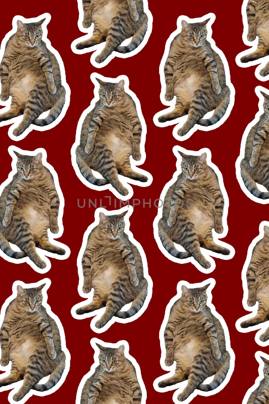 Collage cat Funny cat on red background. Seamless repeating pattern