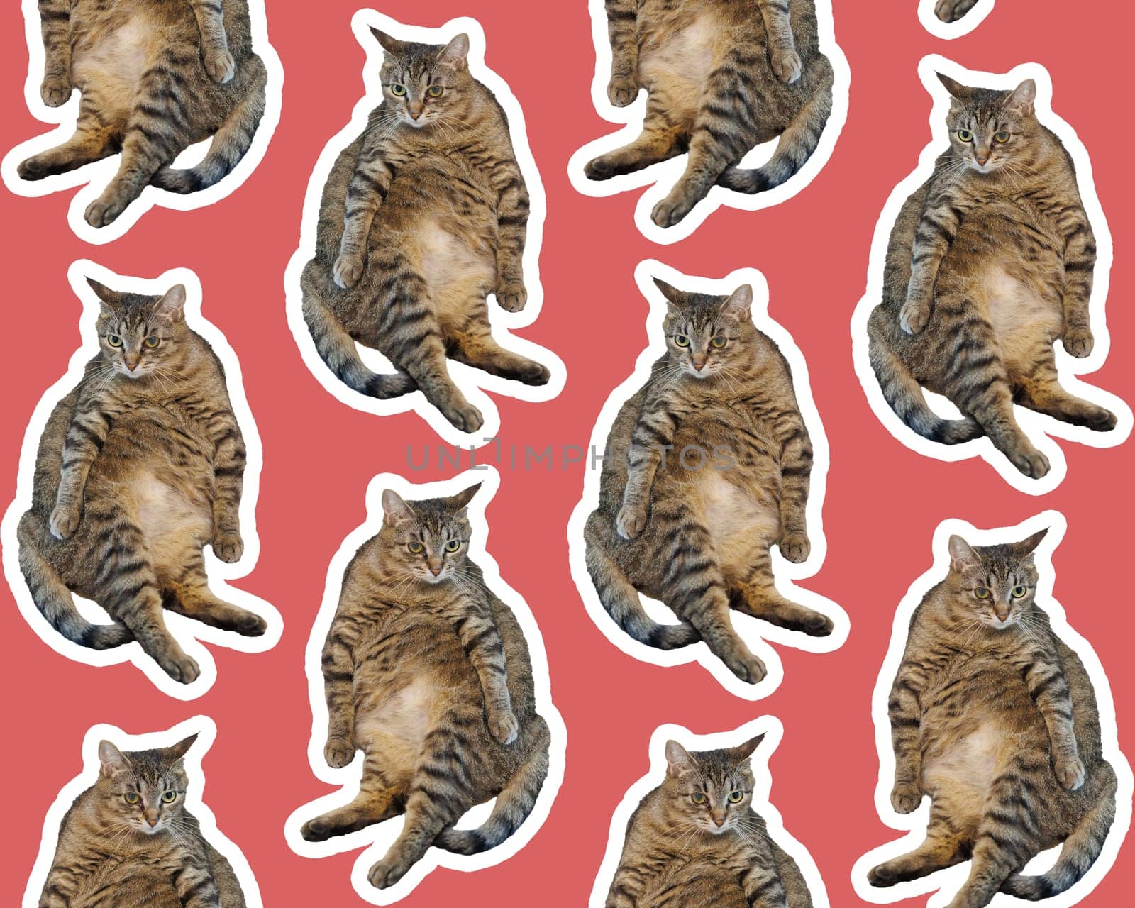 Collage cat Funny cat on red background. Seamless repeating pattern