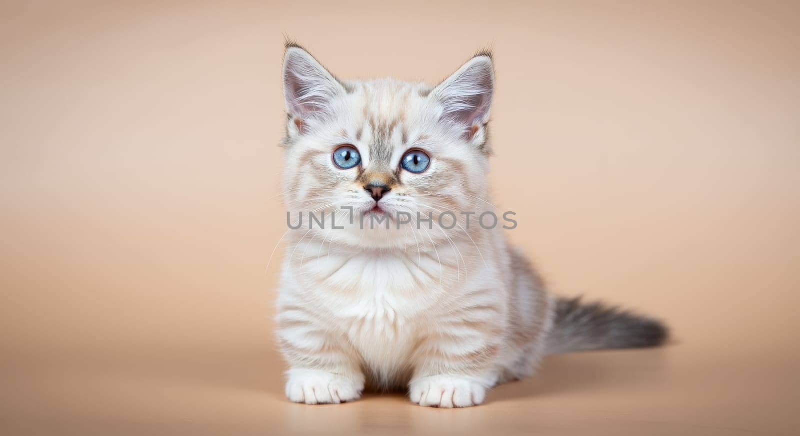 Fluffy kitten with striking blue eyes sits attentively on a neutral beige background, its soft, striped fur and playful demeanor. ideal for pet lovers and nature enthusiasts seeking charming feline imagery.