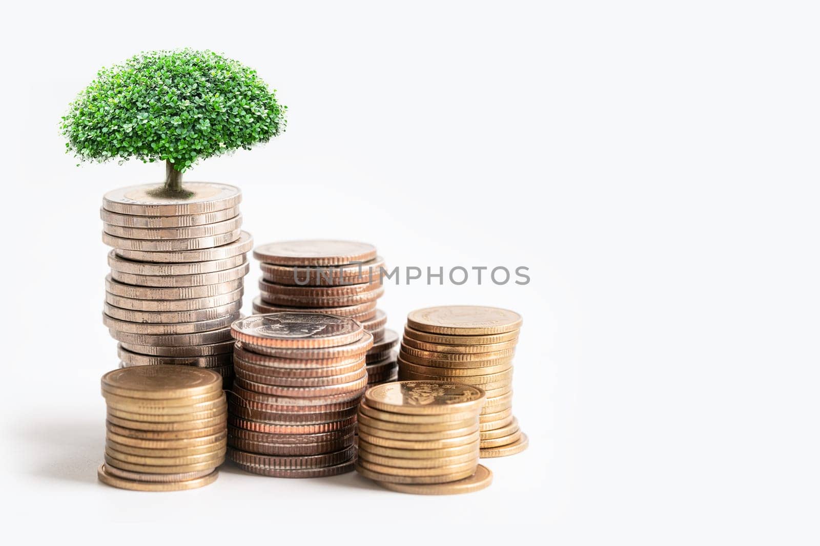 Tree plumule leaf on save money stack coins, Business finance saving banking investment concept. by pamai