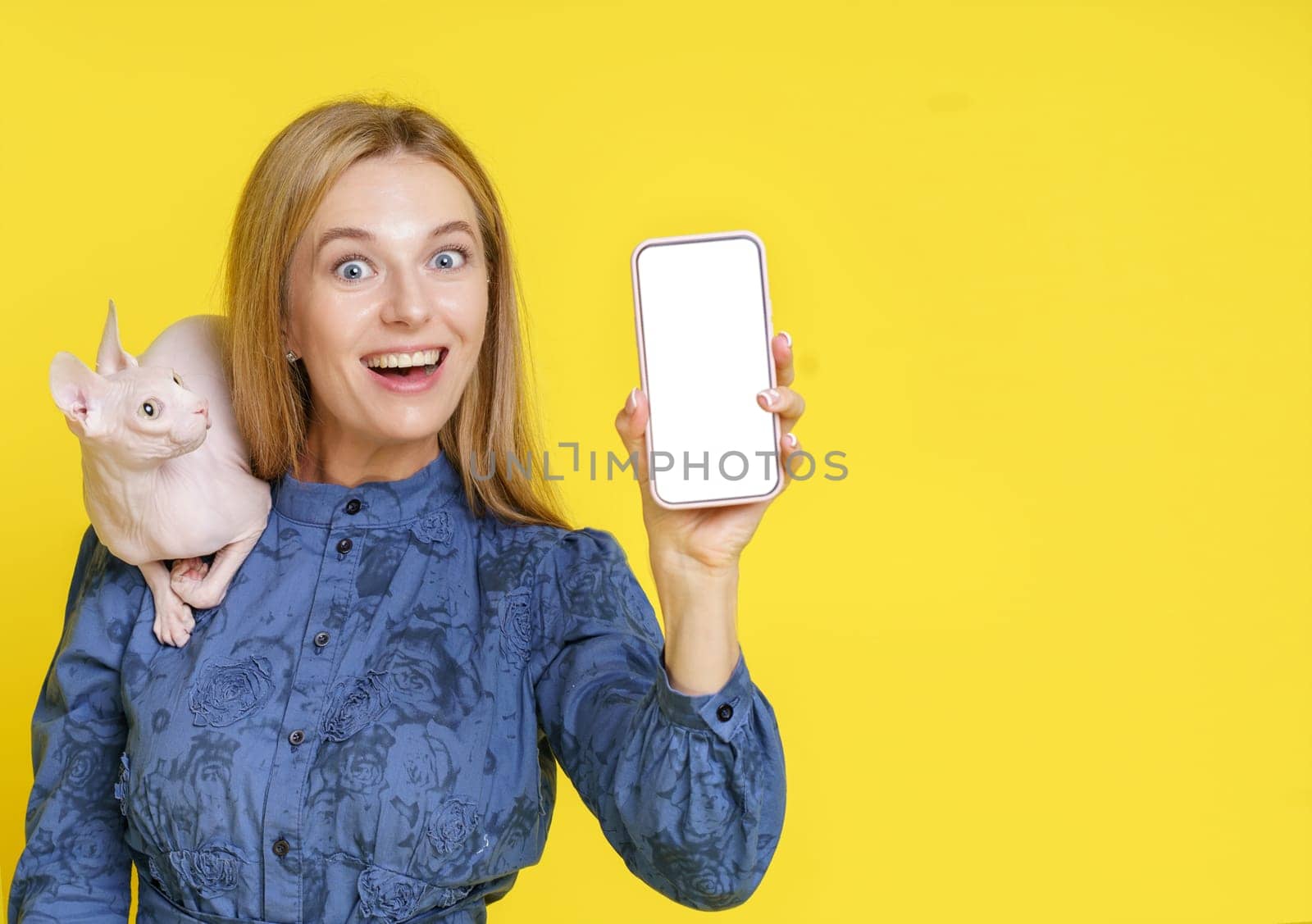 Cat lover hold furry feline companion and show phone with white copy space on display. Isolated on yellow background. Bond between pet owner and beloved cat, blending technology and joy of pet ownership. High quality photo