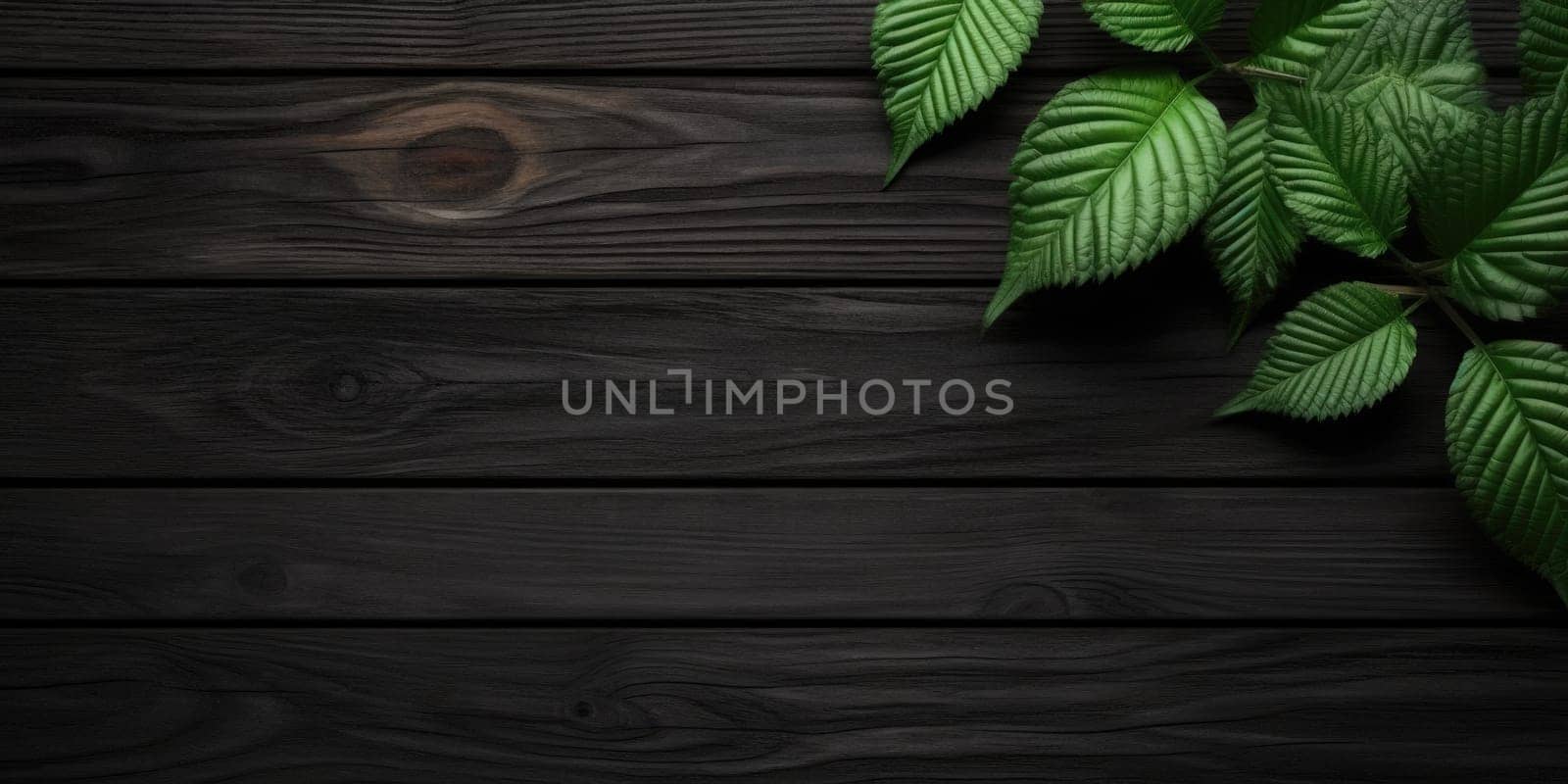 Flat lay photo black wooden and green leaf around it, copy space background. Generative AI weber. by biancoblue