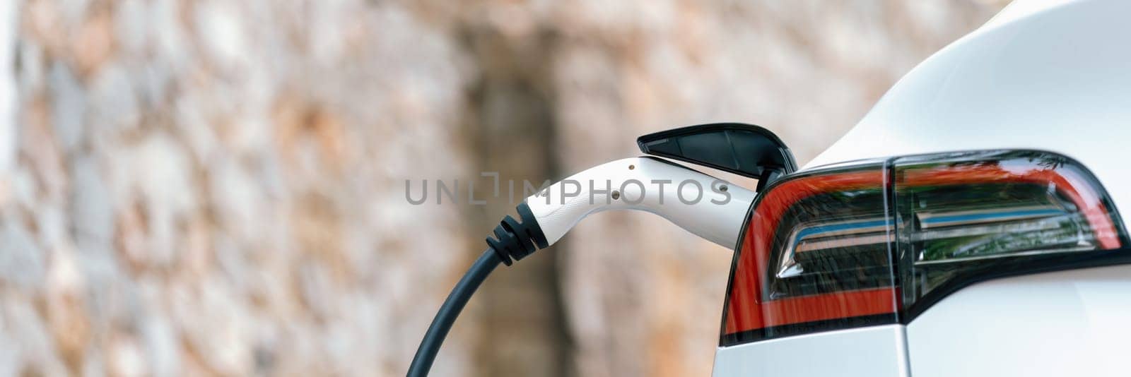 Closeup EV charger handle plugged in or connect to electric car. Perpetual by biancoblue