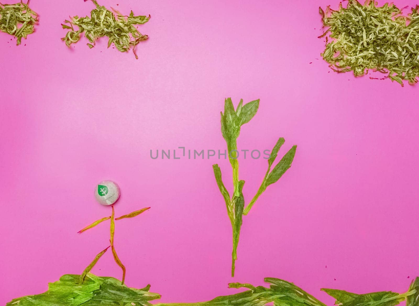 A playful scene showcasing a character creatively designed from natural elements set against a vibrant background