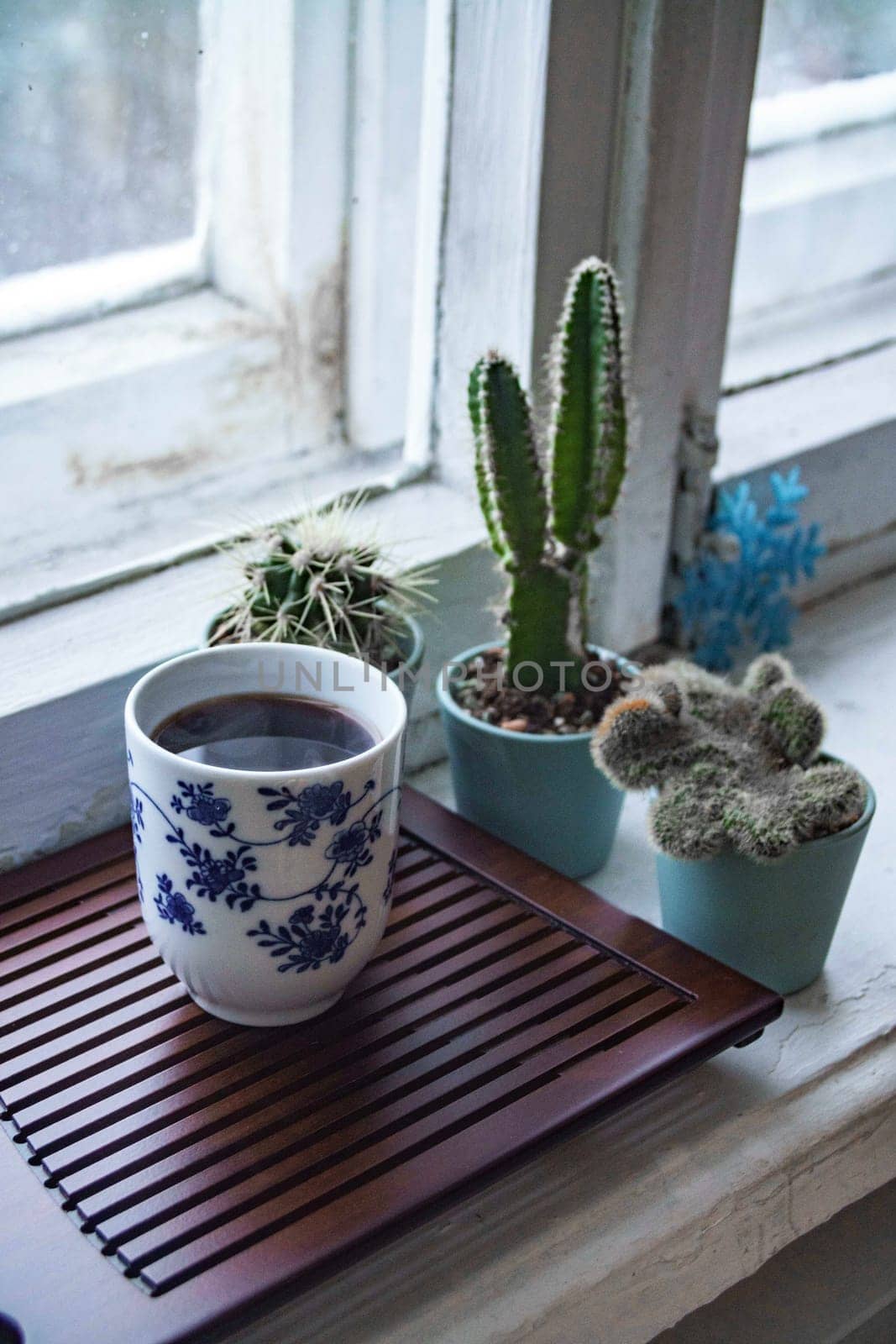 A beautifully calming scene showcasing cacti, a cup of tea, and warm, inviting natural light streaming in by the window