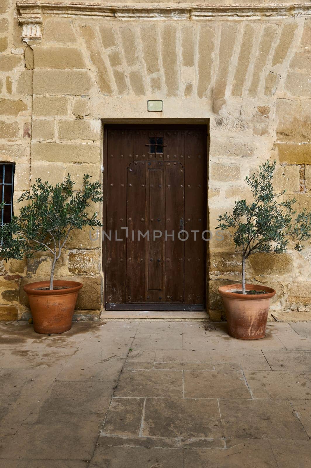 A charming rustic wooden door framed by a stone wall, flanked by two potted trees, conveying elegance and tranquility.