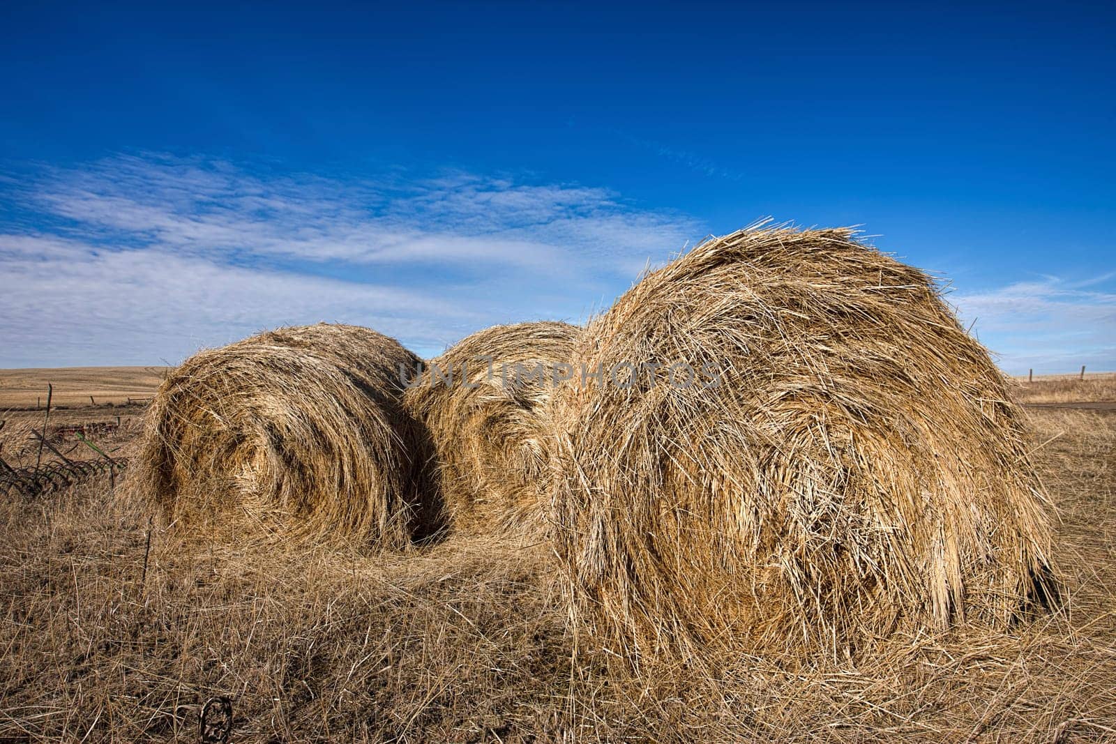 Large round hay bales sit under a clear blue sky near Davenport, Washington.