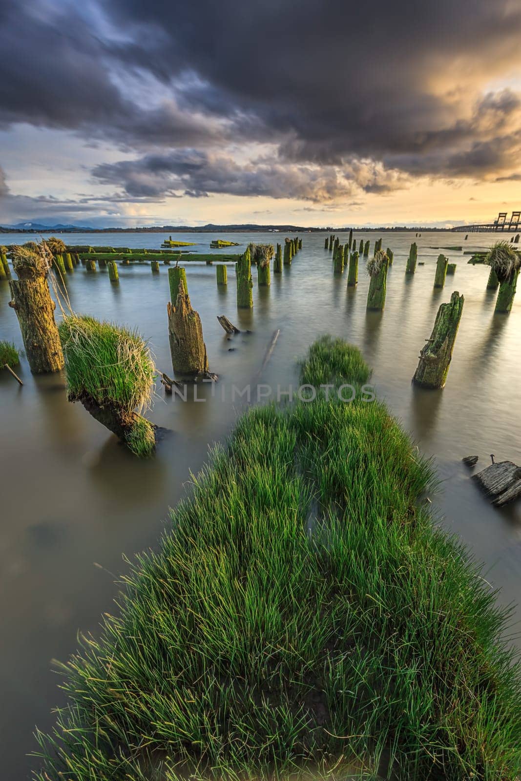 A long exposure image of grass and moss covered pilings at sunset in Astoria, Oregon.