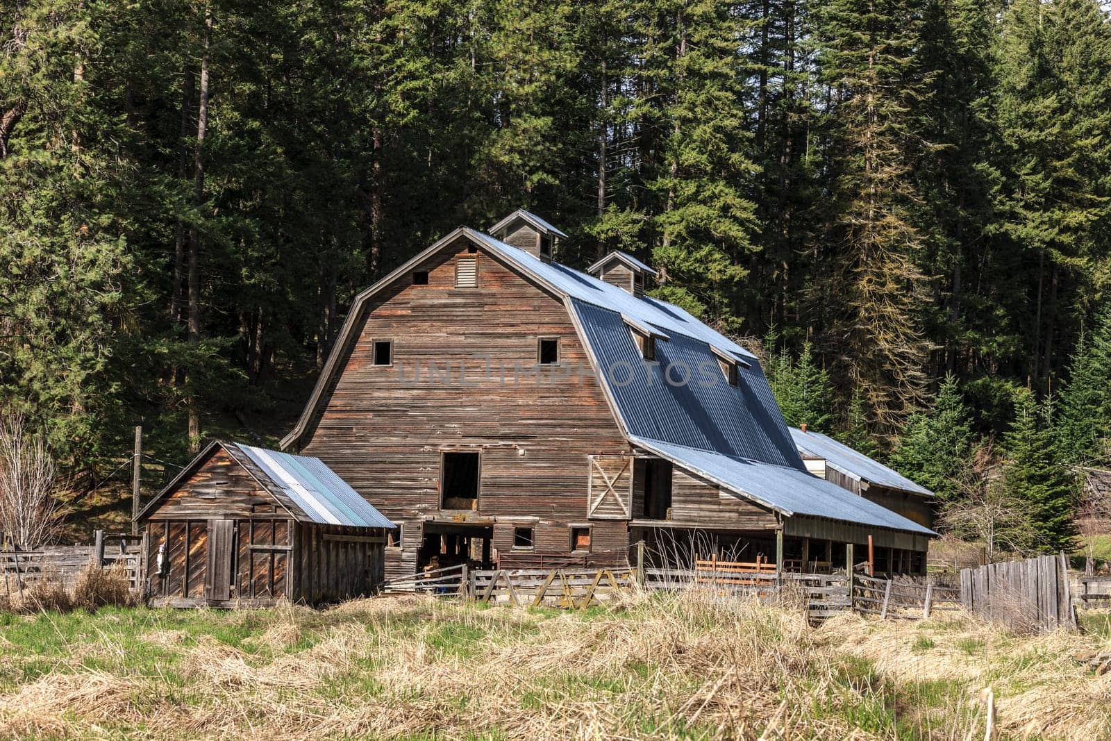 An old rustic barn in the country near Coeur d'Alene, Idaho.
