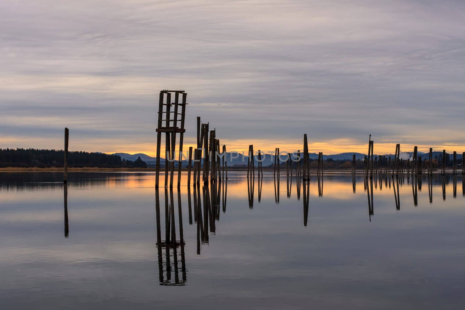 Tall wooden pilings lineup along the calm Pend Oreille River at Cusick, Washington.