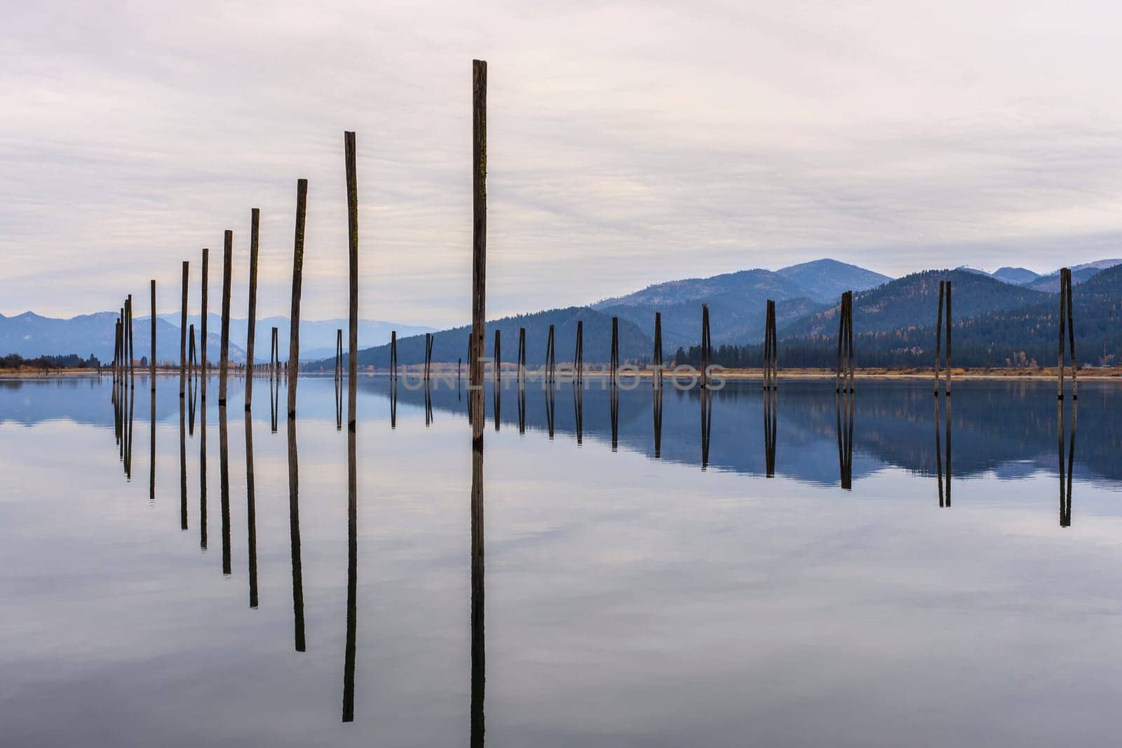 Tall wooden pilings lineup along the calm Pend Oreille River at Cusick, Washington.