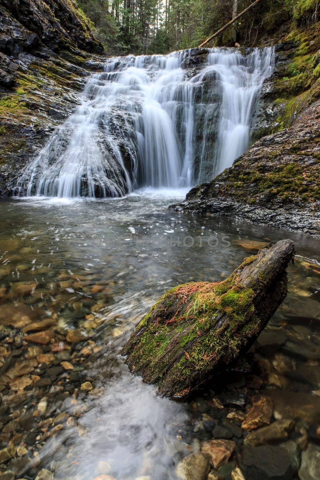 A close up of a clear stream at lower Sweetcreek Falls near Metaline, Washington.