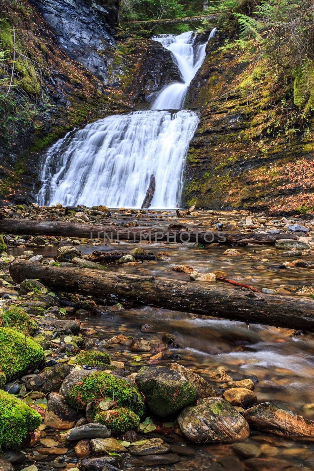Logs lay across the stream at upper Sweetcreek Falls near Metaline, Washington.