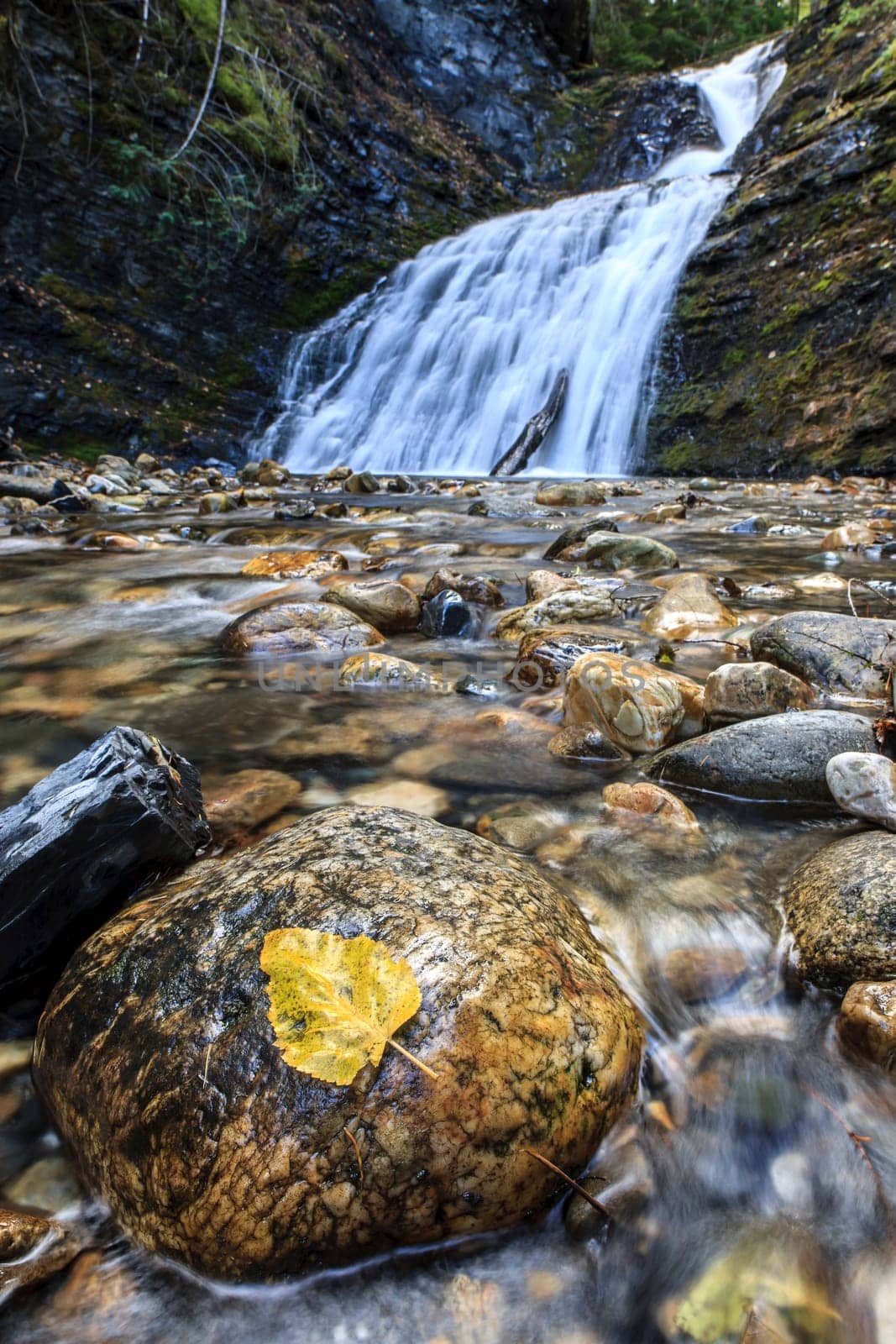 A leaf on a rock with Sweetcreek falls in he background.