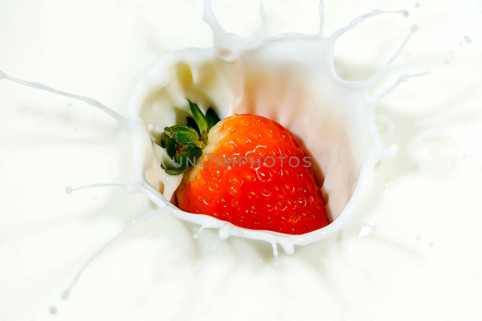 A ripe red strawberry is dropped into milk and makes a nice splash.