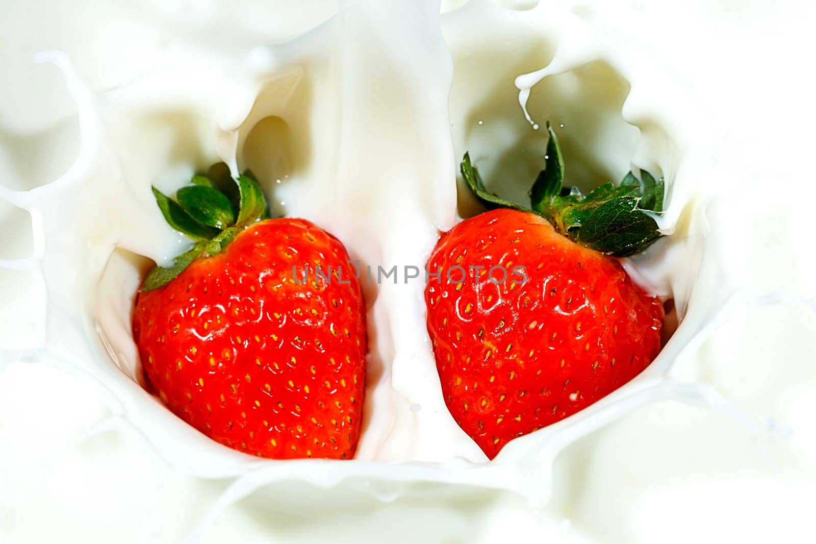 Two ripe red strawberries are dropped into milk and make a nice splash.