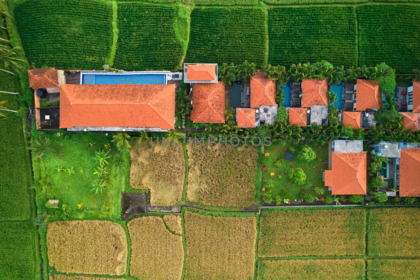 An aerial view of buildings in a rice field. A hotel complex with villas on a paddy plantation on the island of Bali