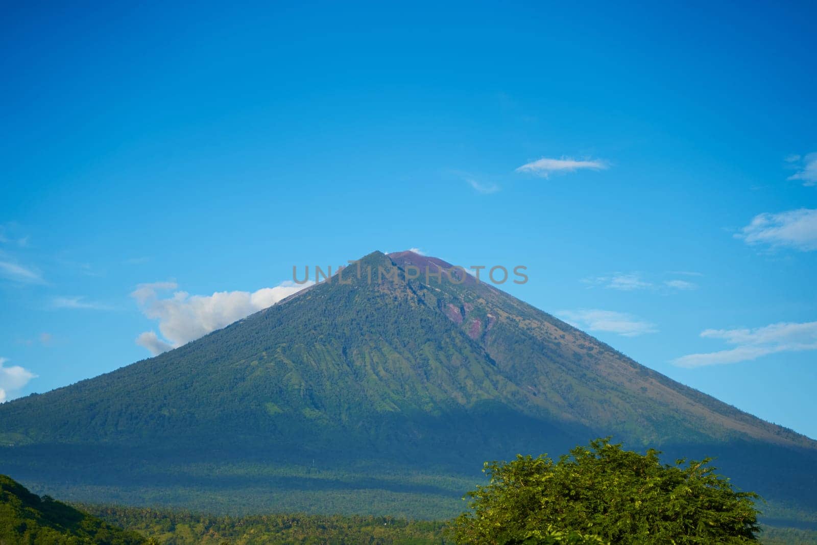 Panorama of Mount Agung and rice fields on the island of Bali. View of the mountain against a background of palm trees and a cornfield. Panorama of Agung volcano covered with clouds on a sunny day