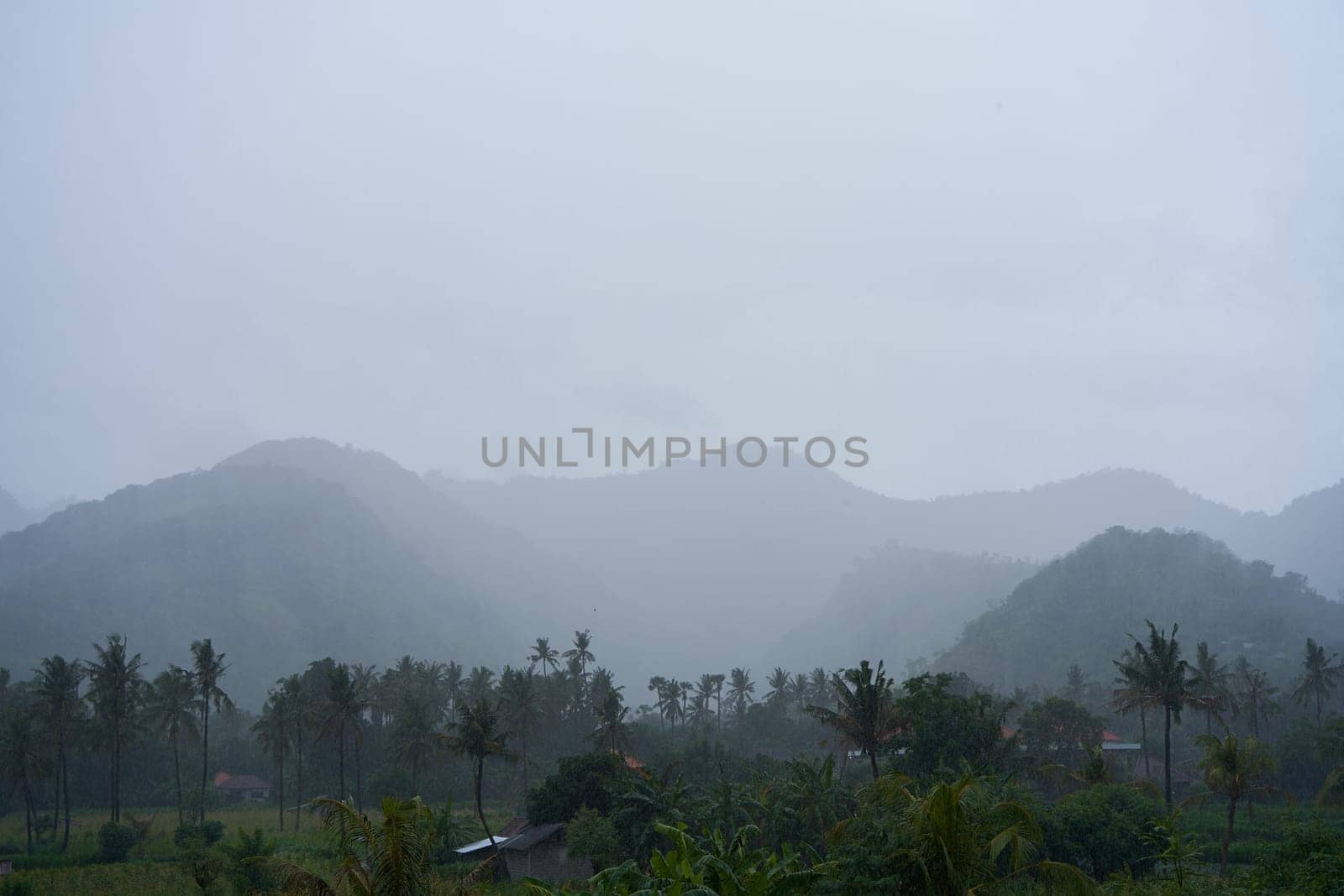 A tropical rainstorm in a rice field with cascading mountains and palm trees
