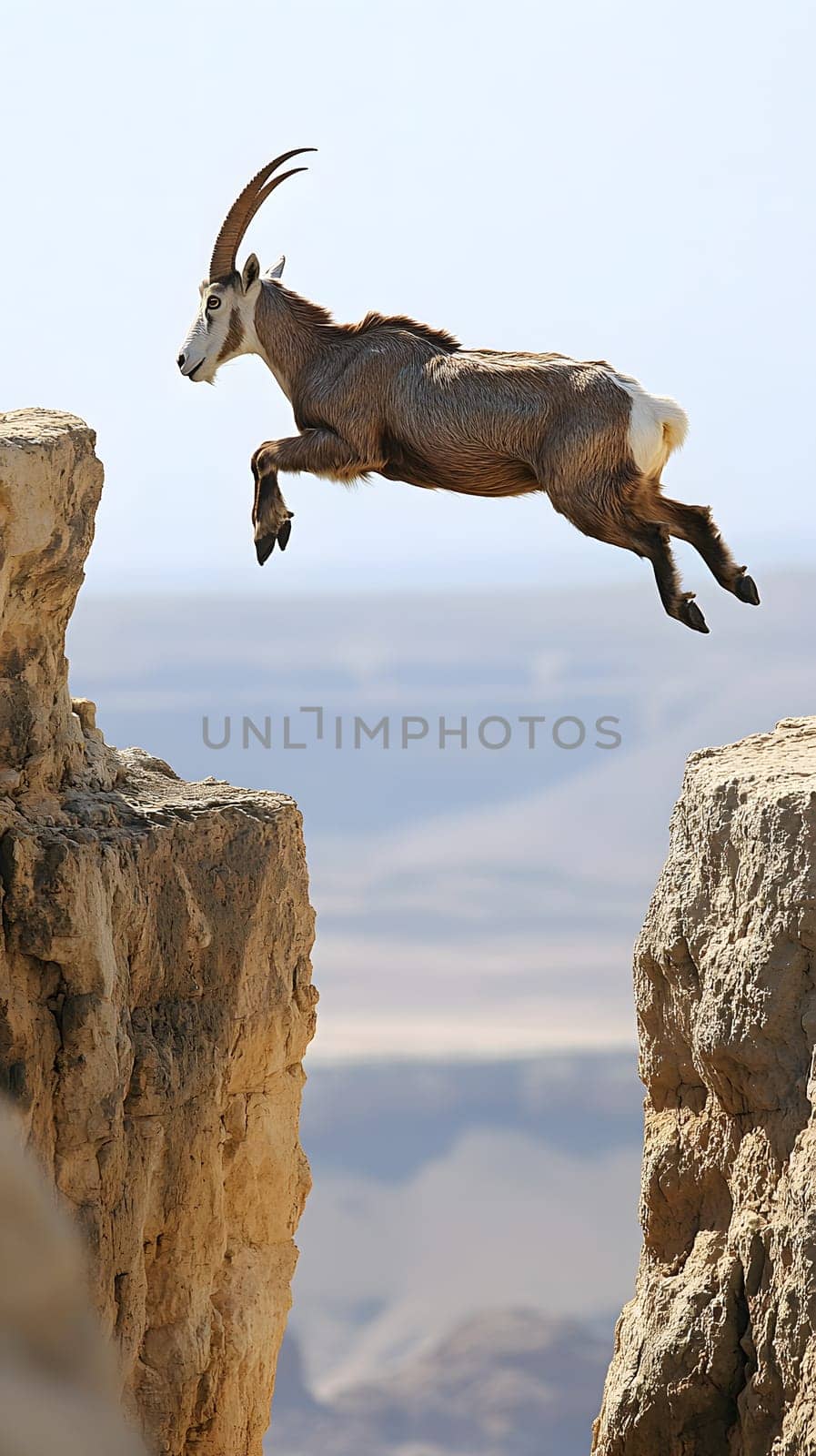 A goat leaps between rocky cliffs in a desert landscape.