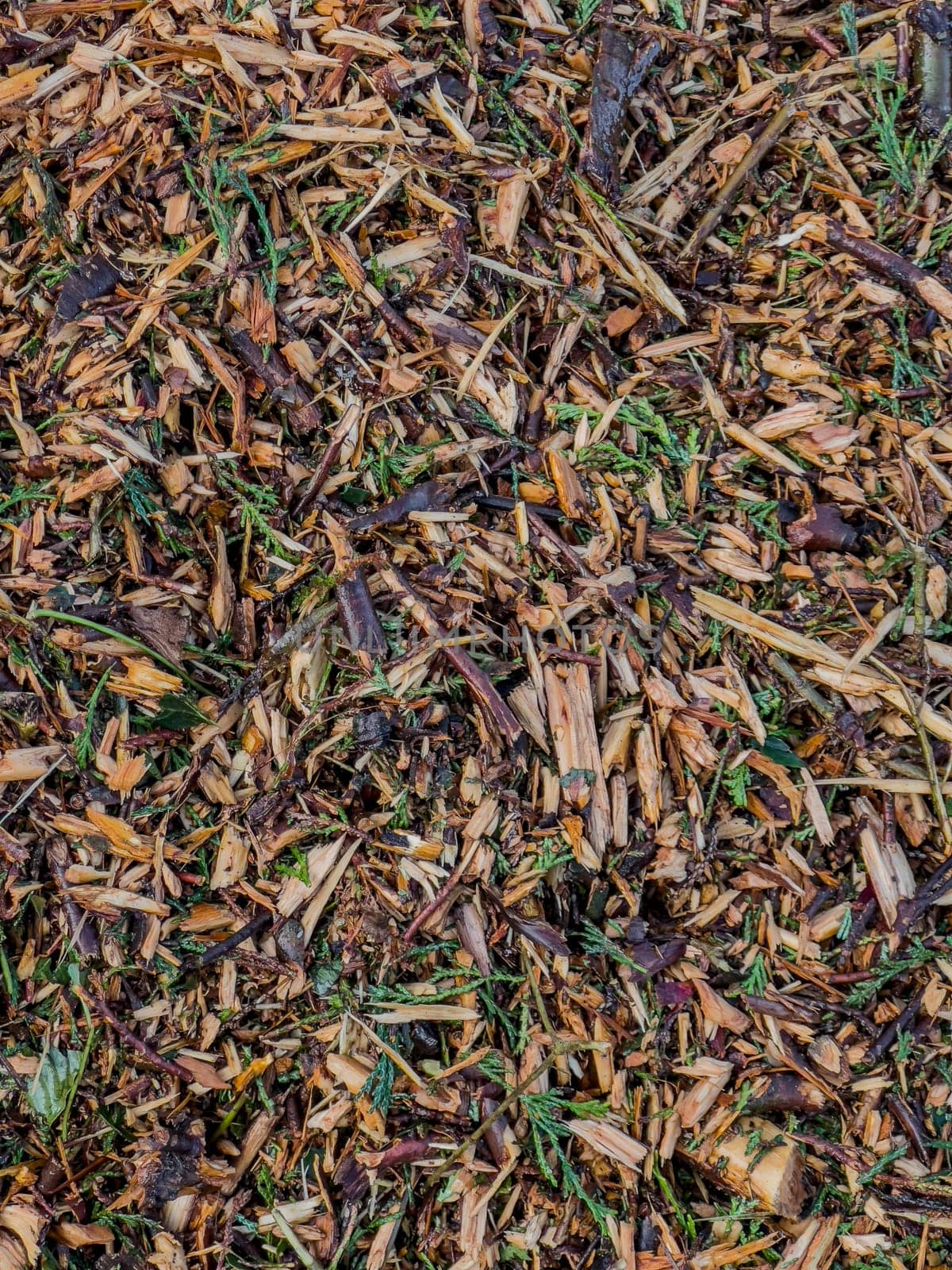Ecological fertilizer, Chips of pruning remains, ready to use as mulch, High quality photo