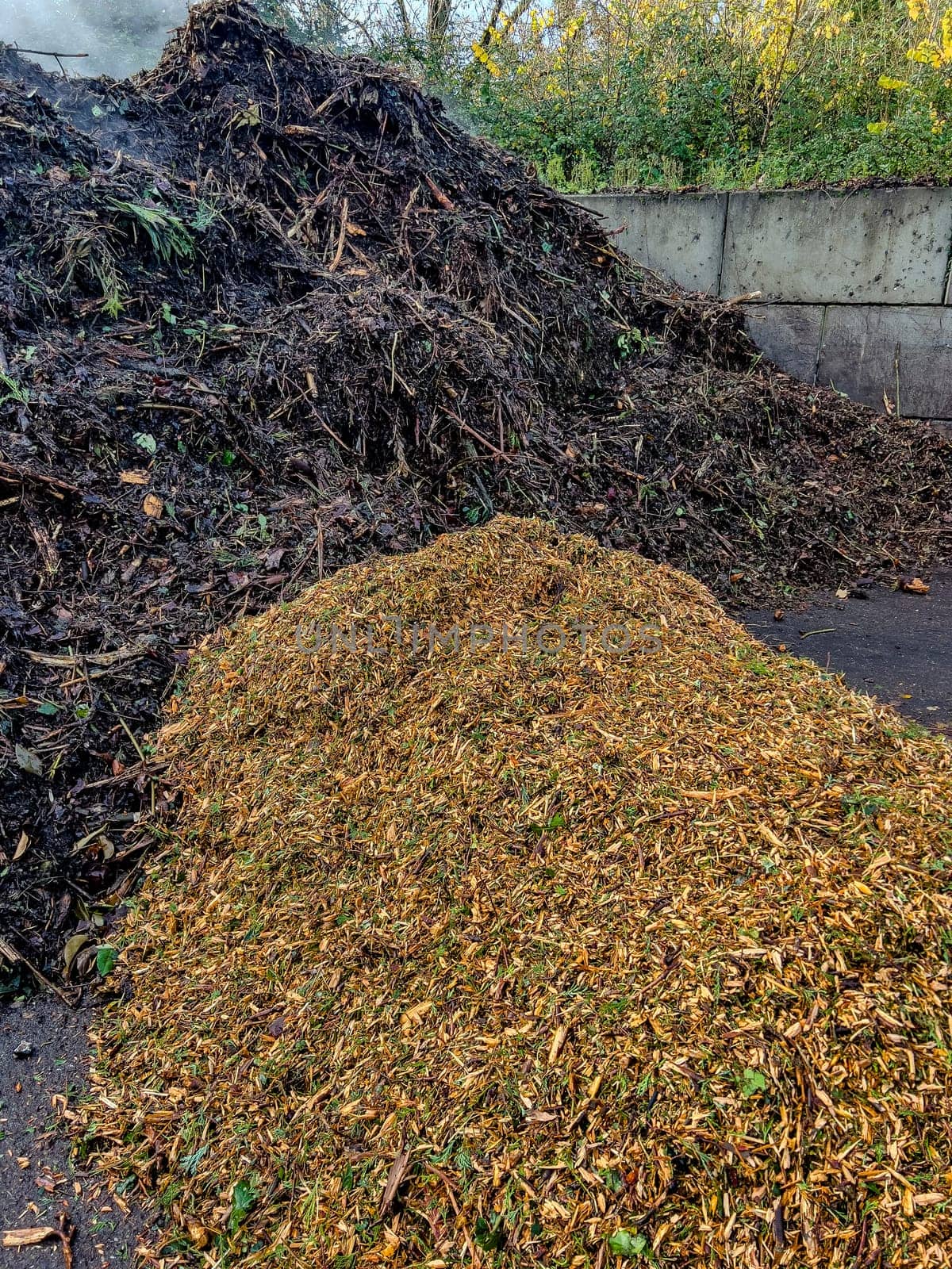Ecological fertilizer, Chips of pruning remains, ready to use as mulch, High quality photo