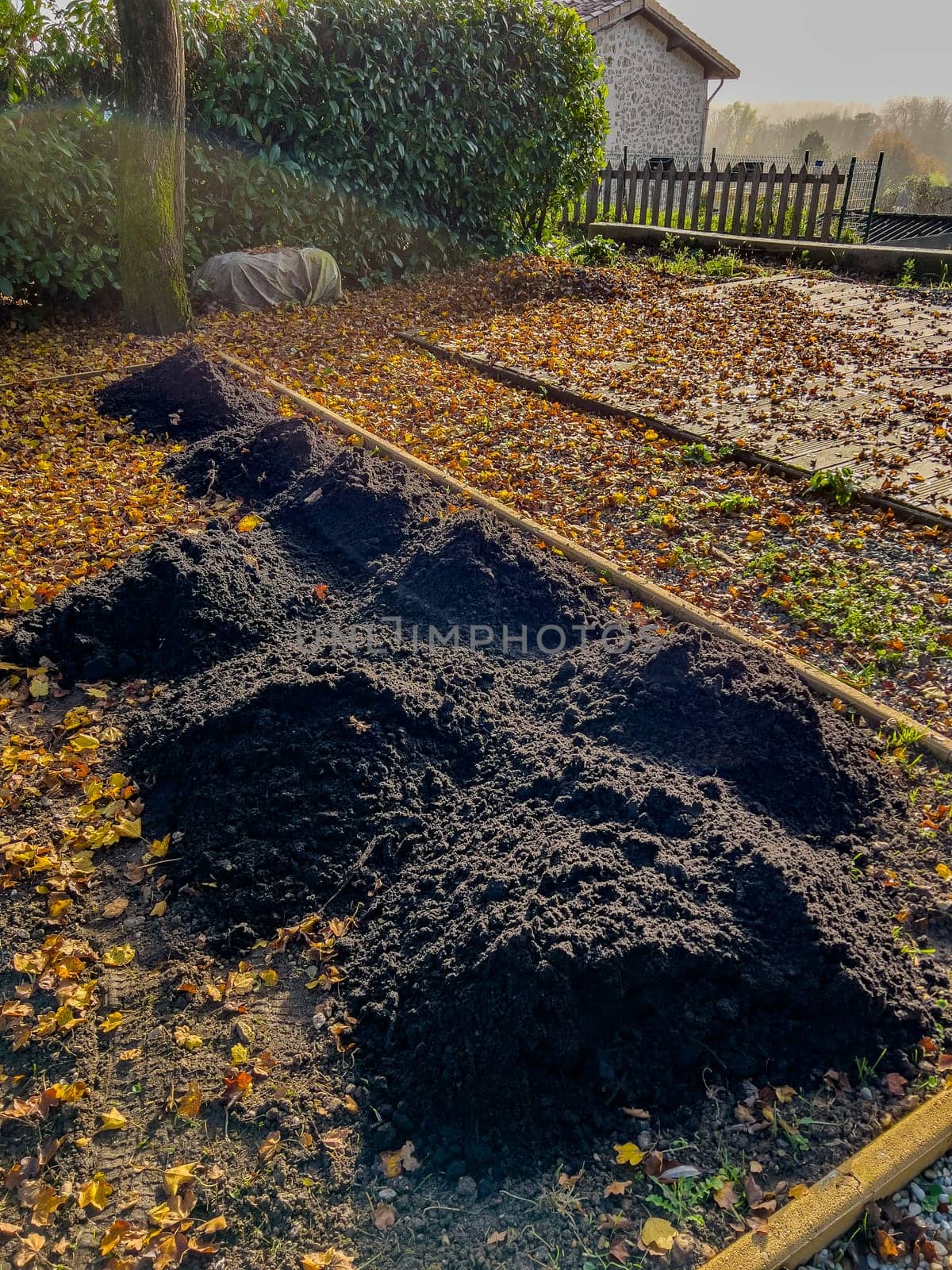 Adding heaps of topsoil to the vegetable patch in the garden of a residential house. High quality photo