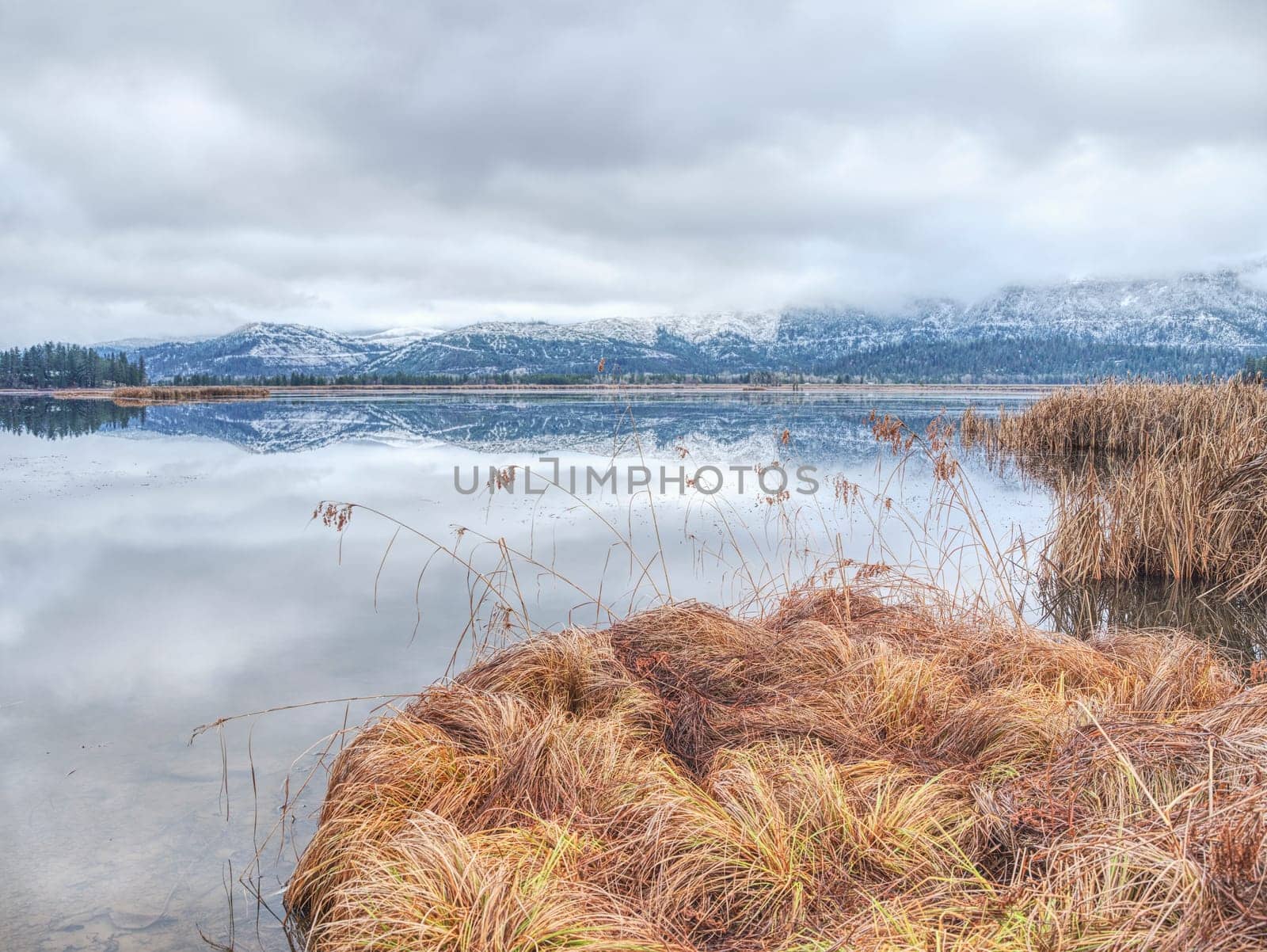 Clusters of yellow grass lay next to the calm pond water under a dramatic cloudy sky in north Idaho.
