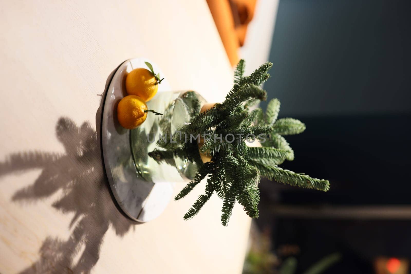 A creatively arranged cactus display showcases vibrant oranges placed on a modern plate in front of a wall