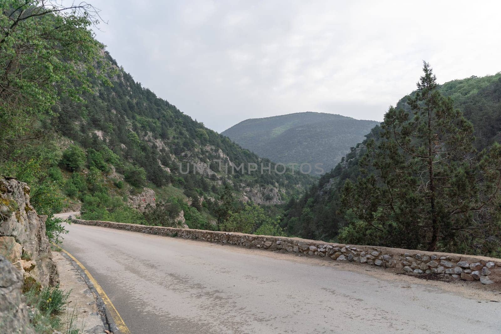 A road with a stone wall on the side and a tree in the distance. The road is empty and the sky is cloudy